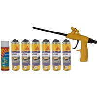 Kit Polyurethan-Schaumexpander 500ml x6 - Reiniger 500ml - Schaumpistole - Blanc - Sika von SIKA