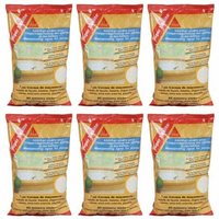 Sika - Set von 6 pulverförmigen Zusätzen zum Imprägnieren von Mörtel und Beton Super lite - Weiß - 1kg von SIKA