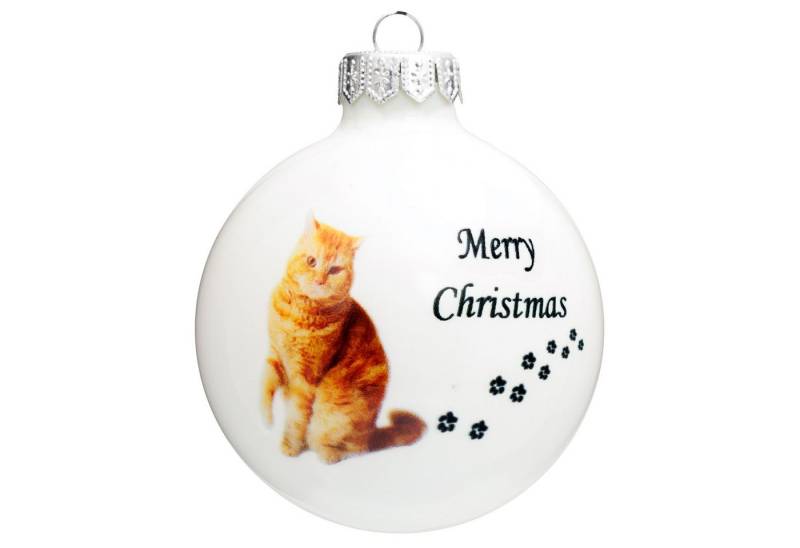 SIKORA Christbaumschmuck Weihnachtskugel Glas Ornament Print Motiv Katze verschiedene Rassen, hochwertig & detailreich - das perfekte Geschenk für Katzenfreunde von SIKORA