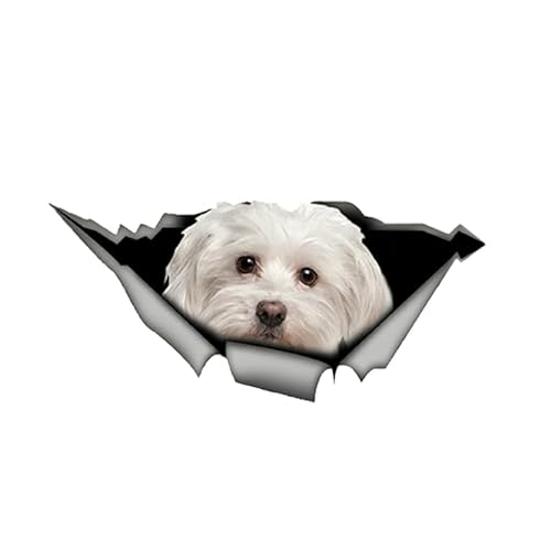 Schöne Malteser Hund Auto Aufkleber Dekoration Wasserdicht Fenster Boot Aufkleber Motorrad Abdeckung Scratch PVC Aufkleber 20 Cm(2 Stück) von SIKPOT