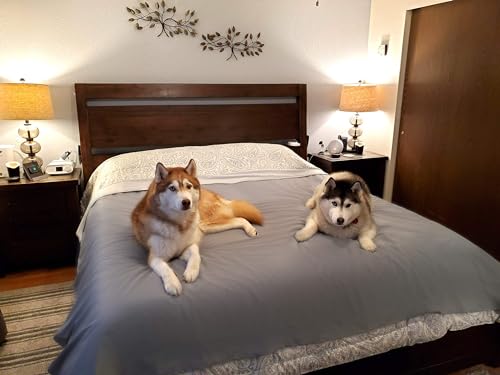 SILLY LEGACY wasserdichte wendbare Schutzdecke oder Liner für Bett oder Couch, für Hunde und Katzen (Doppel, 208 x 208 cm; grau) von SILLY LEGACY