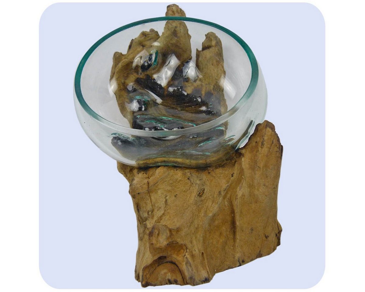 SIMANDRA Dekovase Wurzelholz (Schale), GH 10 - 12 cm, Holz L 24 - 28 cm B 18 - 20 cm, Glas ⌀ ca. 13 - 15 cm von SIMANDRA