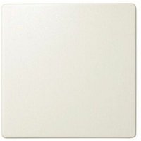 Elfenbeinschalter und Schalterschlüssel Simon 82010-31 von SIMON