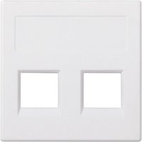 Sprach- und Datenplatte flach sg 3m 2 weißes Modul Simon 50011189-030 Sprach- und Datenplatte flach sg 3m 2 weißes Modul Simon 50011189-030 von SIMON