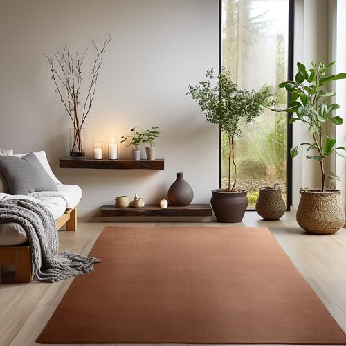 SIMPEX Teppich Wohnzimmer Braun Schlafzimmer Esszimmer Läufer Flur Flauschiger Teppich Waschbar rutschfest Soft Weich Carpet Kurzflor Größe: 160 x 230 cm von SIMPEX