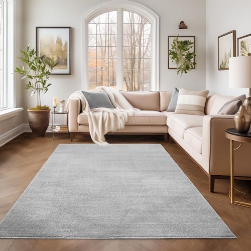 SIMPEX Kurzflor Teppich Wohnzimmer Schlafzimmer Läufer Flur Esszimmer Küchenteppich Einfarbig Modernes Design 11 mm Florhöhe Flauschig Kuschelweich, Hellgrau, 280 x 370 cm von SIMPEX