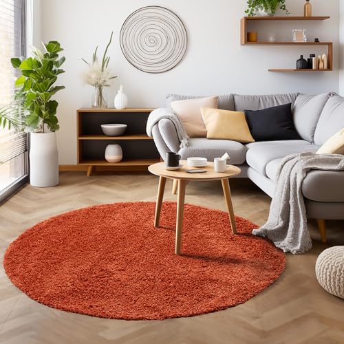 SIMPEX Flauschiger Teppich Rund Wohnzimmer Terra Schlafzimmer Läufer Flur Esszimmer Küchenteppich Hochflor Einfarbig Modernes Design 30 mm Florhöhe Kuschelweich Größe: 120 cm Rund von SIMPEX