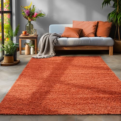 Flauschiger Teppich Wohnzimmer Schlafzimmer Läufer Flur Esszimmer Küchenteppich Hochflor Einfarbig Modernes Design 30 mm Florhöhe Kuschelweich, Terrakotta, 300 x 400 cm von SIMPEX