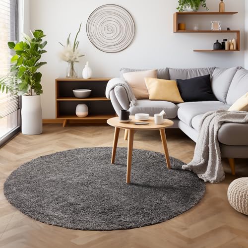 SIMPEX Flauschiger Teppich Wohnzimmer Schlafzimmer Läufer Flur Esszimmer Küchenteppich Hochflor Einfarbig Modernes Design 30 mm Florhöhe Kuschelweich, Grau, 160 cm Rund von SIMPEX