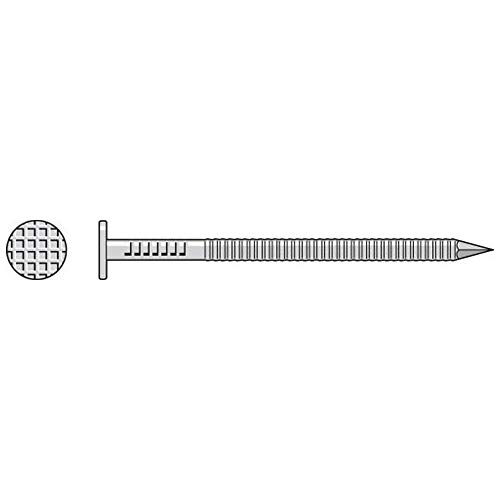 Simpson Strong Tie S8SND1 8D Cedar und Redwood die Seite Nägel 2–1/2 Zoll 14 Gauge 304 454 g Edelstahl von SIMPSON STRONG TIE