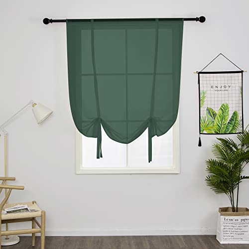 SIMPVALE 1 Stück Sheer Voile Vorhänge, 80×120cm Grün Raffrollo Vorhang, Transparente Gardinen für Wohnzimmer Schlafzimmer von SIMPVALE