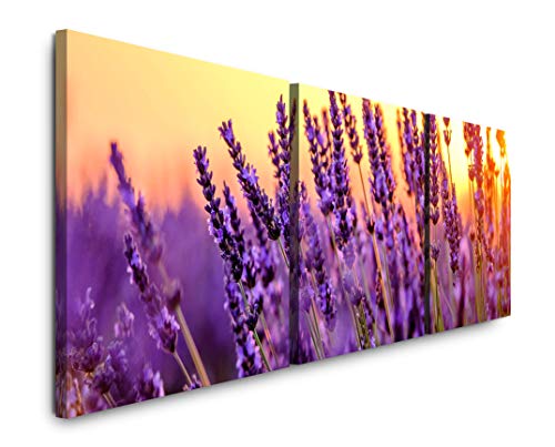 SIN-US 74 Lavendel Felder Bild XXL Panorama Deko Wandbilder 150x50cm - 3 Bilder a 50x50cm von SIN-US 74