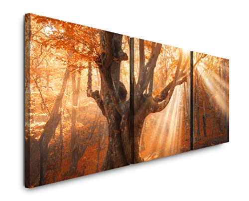 SIN-US 74 Magischer Alter Baum Bild XXL Panorama Deko Wandbilder 150x50cm - 3 Bilder a 50x50cm von SIN-US 74