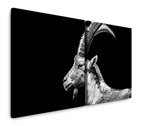 SIN-US 74 Steinbock 65x30cm - 2 Wandbilder je 30x30cm Kunstdruck modern Wandbilder XXL Wanddekoration Design Wand Bild von SIN-US 74