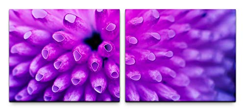 SIN-US 74 lila Blüte Nahaufnahme Bild Leinwand fertig auf Rahmen 2 Bilder a 50x60cm von SIN-US 74