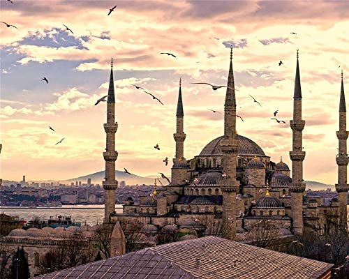 Diamond Painting Kinder Istanbul Stadt Landschaften Mosaik Bilder Leinwand Moderne Kunstwerke Geschenk Wohnkultur Runder Bohrer 40X50Cm von SINABC