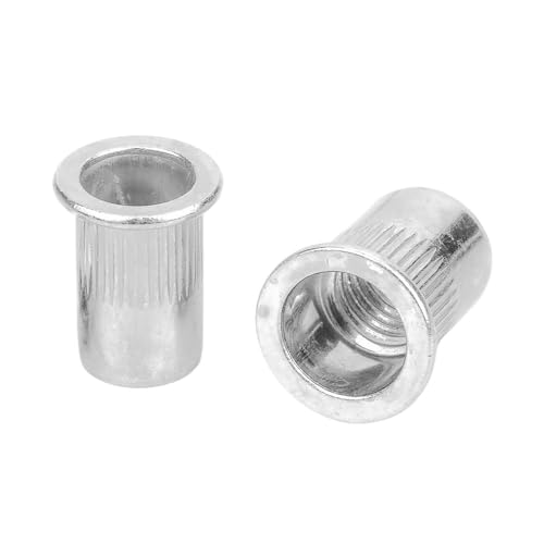 20–100 Stück Nietmuttern M3 M4 M5 M6 M8 M10 M12 Aluminiumlegierung Flachkopf Metrisches Gewinde Nietmutterneinsatz Nutserts(100PCS,M12) von SINEKY
