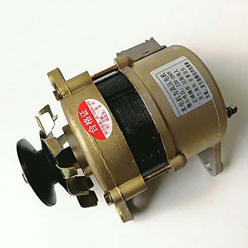 SINGID 220V 800W Kleiner Generator,Permanentmagnet Bürstenloser Motor 900-6000r Min Konstantspannung Haushalt Reiner Kupferdrahtkernmotor-800w 220v von SINGID
