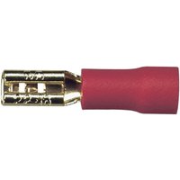 Sinuslive - Car HiFi Flachstecker 10er Set 1.5 mm² 2.8 mm vergoldet Sinuslive - Car HiFi Flachstecker 10er Set 1.5 mm² 2.8 mm vergoldet von SINUSLIVE