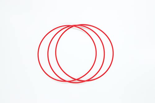 SIOUX O-Ring Ø 98,3mm x 1,95mm, 20er-Set von SIOUX