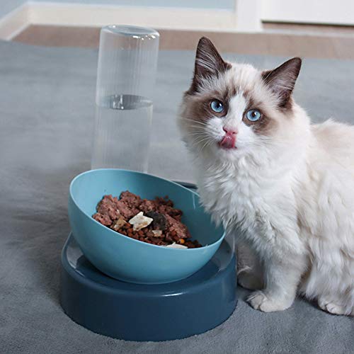Futternapf Wassernapf Set für Katzen und Kleine Hunde Futternapf Gekippt Erhöht Wassernapf mit Automatischer Wasserflasche Doppelnapfset rutschfest Hundenapf Neigbar Katzennapf Fressnapf Futternapf Wassernapf Set für Katzen und Kleine Hunde Futternapf Gekippt Erhöht Wassernapf mit Automatischer Wasserflasche Doppelnapfset rutschfest Hundenapf Neigbar Katzennapf Fressnapf von SIQITECH