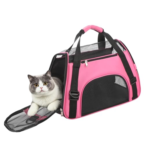 Hundetasche Netzgewebe Atmungsaktiv Katzentransportbox Faltbar Hundetragetasche Waschbar Matte Kleintiertasche Einstellbar Schultergurt Katzentasche Abnehmbar Transporttasche Hunde Katzen Welpen von SIQITECH