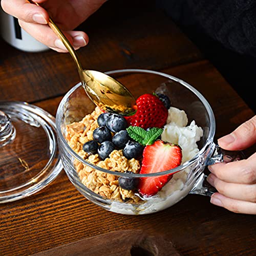 Teetasse Transparent Kaffeetasse Vintage Runde Frühstückstasse mit Henkel Wasserbecher 550ml mit Deckel Teebeutel Hitzebeständig Versiegelbar Glastasse Microwave Suppe Latte Kaffee Müsli Eiscreme von SIQITECH