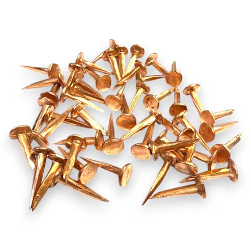Massive Kupfernägel – 13 mm – Flachkopf-Polsternägel für Restaurierung, Bootsbau & Handwerk – rostfrei, nicht magnetisch – 100 g Packungen Massive Kupfernägel – 13 mm – Flachkopf-Polsternägel für Restaurierung, Bootsbau & Handwerk – rostfrei, nicht magnetisch – 100 g Packungen von SISI UK