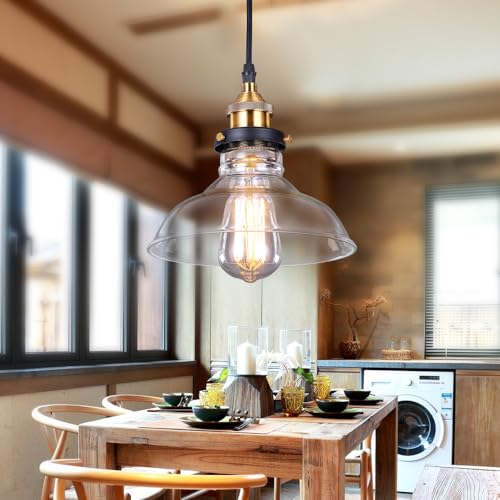 SISVIV Industrie Hängelampe Retro Glas Pendelleuchte Vintage Pendellampe Kronleuchter Dekoration Hängelampe Glasschirme für Küche Wohnzimmer Schlafzimmer Esszimmer Cafe Restaurant E27 von SISVIV