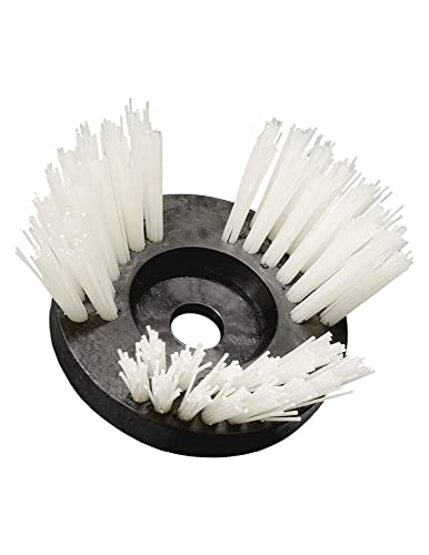 SIT Tecnospazzole Ø=170 mm Reguläre Bürste für Motorsense für Gartenarbeit aus Nylon mit Adapter-CO170-Ø: 170 mm, Schwarz und Weiß von SIT Tecnospazzole