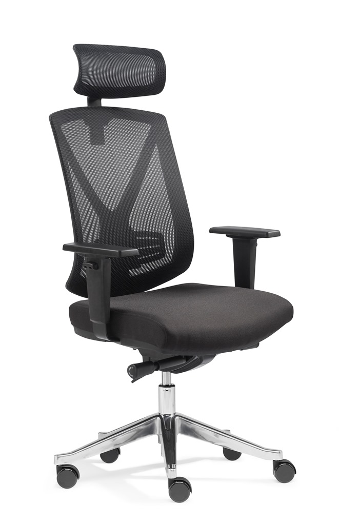 Ergo Studio L mit Kopfstütze von SITWELL STEIFENSAND AG