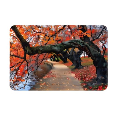 SIULAS Schmutzfangmatte für drinnen und draußen, robuste Fußmatte, Baum im Herbst, Teppich für Zuhause, Küche, Büro (40 x 60 cm) von SIULAS