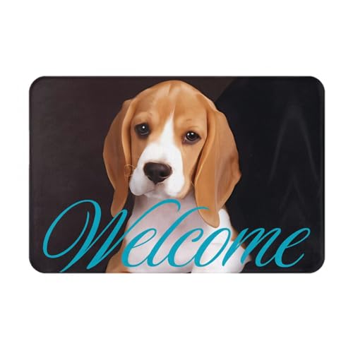 SIULAS Schmutzfangmatte für drinnen und draußen, robuste Fußmatte, Ovely Pet Dog Beagle-Teppich für Zuhause, Küche, Büro (40 x 60 cm) von SIULAS