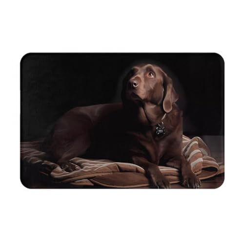 SIULAS Schmutzfangmatte für drinnen und draußen, robuste Fußmatte, brauner Labrador-Retriever-Teppich für Zuhause, Küche, Büro, 40 x 60 cm von SIULAS