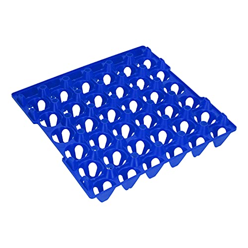 Eierschalenhalter aus Kunststoff Zur Aufbewahrung von Eierkisten mit 30 Zellen, für Heim- und Bauernhofbedarf (BLUE) von SIXRUN