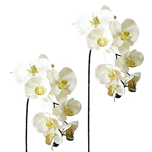 Künstliche Phalaenopsis Blumen – Gefälschte Phalaenopsis Blumen Zweige mit echt berührenden Orchideen Blumen und realistischer Langer Stiel für Zuhause Büro Hochzeit Dekor (weiß) von SJDWDX