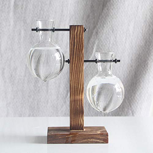 SJDWDX Glas-Pflanzgefäß-Vase, Pflanzen-Terrarium-Holzständer, Klarglas-Pflanzgefäß-Vase mit massivem Holzständer und Metall-Drehgelenk-Halterung für Zuhause, Büro, Garten von SJDWDX