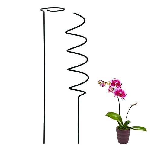 SJDWDX Spiral-Pflanzenhalter-Set, Blumenständer, kleine Pflanzenhalter, Stützregale für Garten, Haus, Gartenwerkzeug, 6 Stück von SJDWDX