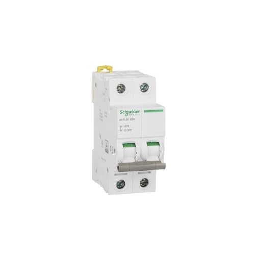 Leitungsschutzschalter,Sicherungsautomat Typ C 2P 32A, 63A, 80A, 100A, 125A Thermo-magnetischer Leitungsschutzschalter Elektrischer Luftschalter 400VAC 50HZ 6KA(63A) von SJHFKDK