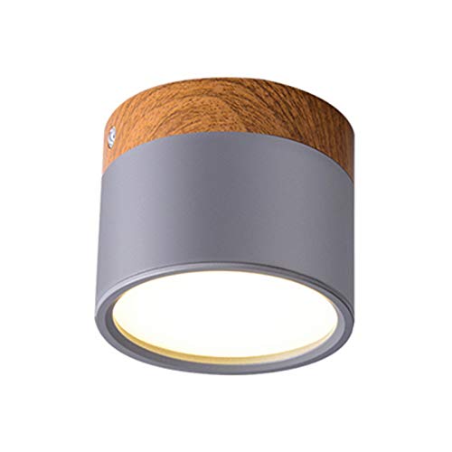 SJHFKDK Deckenlampe, Deckenleuchte Deckenleuchten Moderne Eisen Deckenleuchte für Wohnzimmer Schlafzimmer Kinderzimmer Gänge Corridor Spot Light Home Fixture(Light Grey,Cold_7W NOT DIMMING) von SJHFKDK