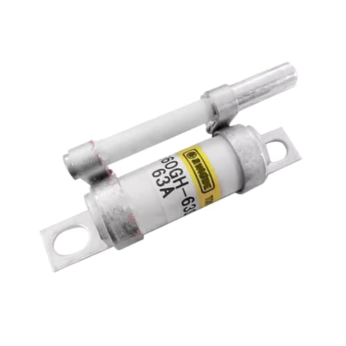 660GH-100S-80S-63S-50S-32S-20S-SUL-SULTC Sicherung 1 STK(660GH-40S) von SJJBVPYX