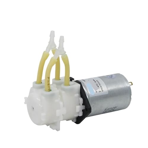KPP2 Schlauchpumpe 24 V 12 V kleine Durchflussmenge selbstansaugende Pumpe Doppelpumpenkopf Niederdruckdosierpumpe(24V In Series,KPP2-B06) von SJLOYNWQ