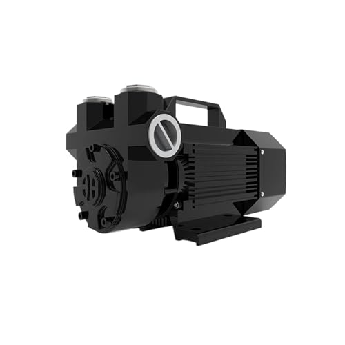 Schwarze 12V/24V Benzinpumpe mit explosionsgeschütztem System Kraftstoffpumpe selbstansaugende elektrische Dieselpumpe 600W 60l/min(12V) von SJLOYNWQ