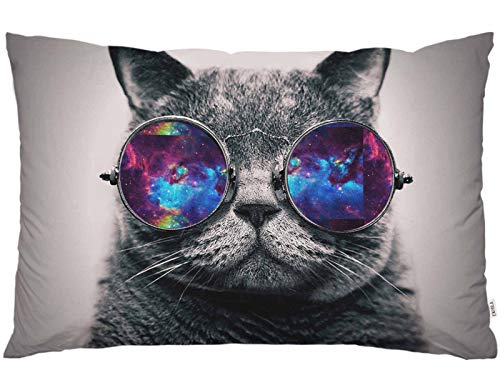 Wurfkissenbezug lustige Galaxie-Katze niedliche Katzen mit Nebel Sonnenbrille Dekor Lendenkissen Fall Kissen für Sofa Couch Bett Standard Queen-Size-Größe 50,8 x 76,2 cm von SJOAOAA