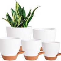 7/6-5/6/5-5/5 Zoll Selbstbewässernde Blumentöpfe - 5er-Pack Kunststoff-Blumentöpfe mit Abfluss und Untersetzer - Kunststoff-Blumentöpfe - Pflanztöpfe 7/6-5/6/5-5/5 Zoll Selbstbewässernde Blumentöpfe - 5er-Pack Kunststoff-Blumentöpfe mit Abfluss und Untersetzer - Kunststoff-Blumentöpfe - Pflanztöpfe von SJQKA