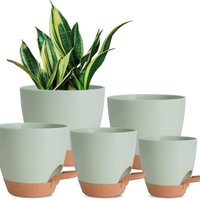 7/6-5/6/5-5/5 Zoll selbstbewässernde Blumentöpfe - 5er-Pack Kunststoff-Blumentöpfe mit Abfluss und Untersetzer - Kunststoff-Blumentöpfe - Pflanztöpfe 7/6-5/6/5-5/5 Zoll selbstbewässernde Blumentöpfe - 5er-Pack Kunststoff-Blumentöpfe mit Abfluss und Untersetzer - Kunststoff-Blumentöpfe - Pflanztöpfe von SJQKA