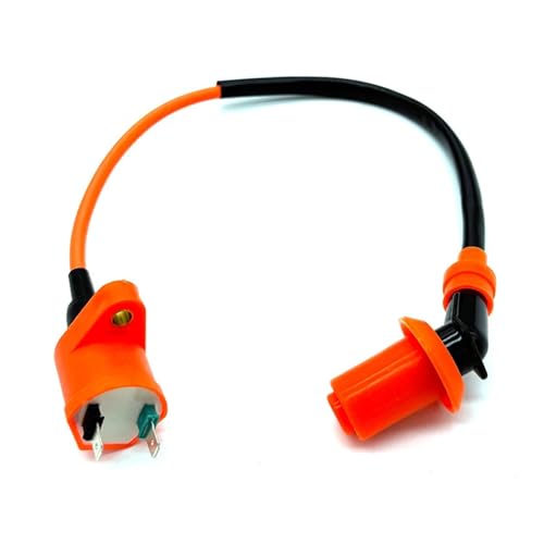SJSJJAH Hochleistungs-Motorrad-Zündspule for Gy6 50cc 60cc 80cc 125cc 150cc 125cc Roller Motorrad ATV Moped Roller Teile SJSJJAH Hochleistungs-Motorrad-Zündspule for Gy6 50cc 60cc 80cc 125cc 150cc 125cc Roller Motorrad ATV Moped Roller Teile von SJSJJAH