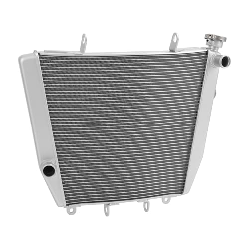 SJSJJAH Kühler Kühler Kühlung Fit for RSV4 2011-2022 2021 2020 Motorrad Wasser Tank von SJSJJAH