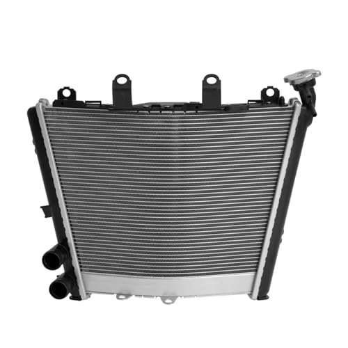 SJSJJAH Kühler Kühler Kühlung for S1000RR 2019-2024 S1000R M1000RR 2021-2024 Motorrad Wasser Tank SJSJJAH Kühler Kühler Kühlung for S1000RR 2019-2024 S1000R M1000RR 2021-2024 Motorrad Wasser Tank von SJSJJAH