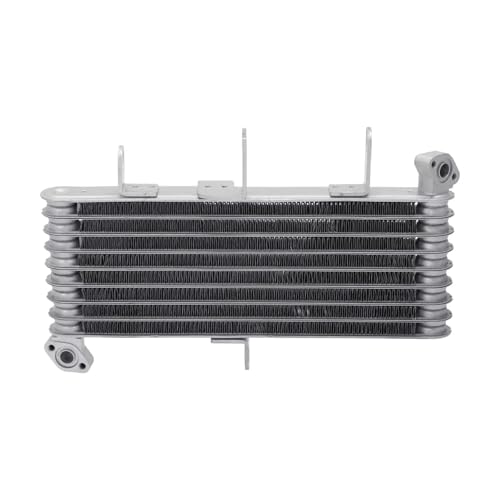 SJSJJAH Motorrad Aluminium Motorölkühler for -10R -10RR 2021-2024 SJSJJAH Motorrad Aluminium Motorölkühler for -10R -10RR 2021-2024 von SJSJJAH